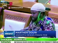 Lagi, Dewan Marah-Marah Saat Sidang Dengan PT Freeport