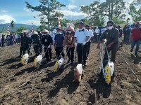 Mentan 'Boyong' Tambahan Rp 1,72 T Buat Garap Lumbung Pangan
