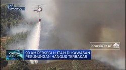 Kebakaran di Spanyol, 2.400 Orang Dievakuasi