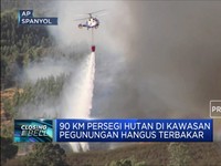 Kebakaran di Spanyol, 2.400 Orang Dievakuasi