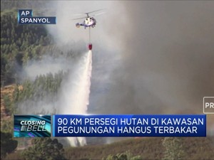 Kebakaran di Spanyol, 2.400 Orang Dievakuasi