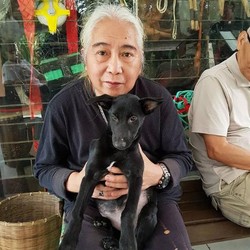 Punya Rumah Sengketa Kayak Ortu Nagita Slavina? Gini Cara Urusnya
