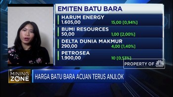 Harga Terus Anjlok, Daya Tahan Industri Batu Bara Bagaimana?