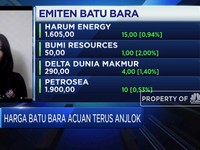 Harga Terus Anjlok, Daya Tahan Industri Batu Bara Bagaimana?