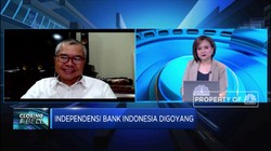 Pak Jokowi, Ekonom Minta Jangan Goyang Independensi BI