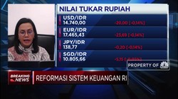 Simak! Pernyataan Sri Mulyani Soal Amandemen UU BI