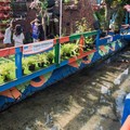 Dulu Penuh Sampah, Kini Sungai Pagarsih Sebersih Kolam Koi