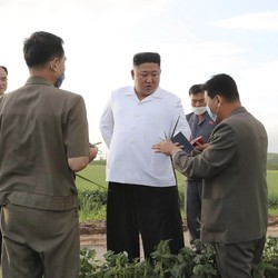 Duh Mr Kim Jong Un! Pisang Korut Harganya Tembus Rp 640 Ribu
