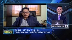IESR: PLN Masih Mampu Atasi Efek Penurunan Tarif Listrik