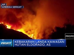 Kebakaran 3000 Hektar Landa Hutan Eldorado di AS