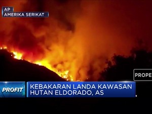 Kebakaran 3000 Hektar Landa Hutan Eldorado di AS