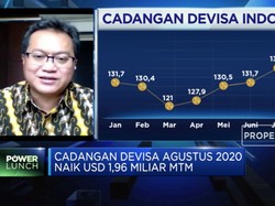 Menilik Faktor Penopang Kenaikan Cadev Agustus 2020