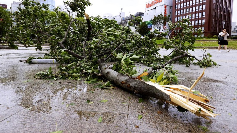 The roofs of a car factory are seen on sidewalk after typhoon hit Fukuoka, southwestern Japan Monday, Sept. 7, 2020. The second powerful typhoon to slam Japan in a week left people injured, damaged buildings, caused blackouts at nearly half a million homes and paralyzed traffic in southern Japanese islands before headed to South Korea.(Kyodo News via AP)