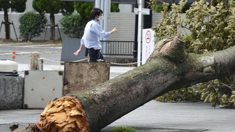 The roofs of a car factory are seen on sidewalk after typhoon hit Fukuoka, southwestern Japan Monday, Sept. 7, 2020. The second powerful typhoon to slam Japan in a week left people injured, damaged buildings, caused blackouts at nearly half a million homes and paralyzed traffic in southern Japanese islands before headed to South Korea.(Kyodo News via AP)