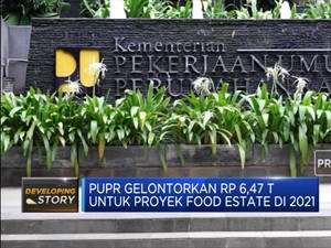 PUPR Gelontorkan Rp 6,47 T untuk Proyek Food Estate 2021