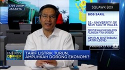 Tarif Listrik Turun, Begini Dampaknya Bagi Keuangan PLN