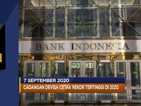 Cadev Agustus Naik USD 1,9 M Hingga Ekspor China Naik 9,5%