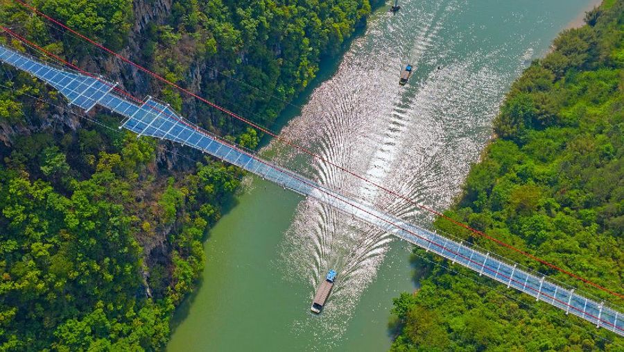 Jembatan Kaca Terpanjang di China (Foto: Lianzhou Qingtian Tourism Development Co., Ltd.)