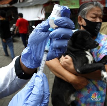 Melihat Vaksin Rabies Hewan Peliharaan Saat Pandemi Covid-19