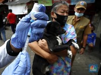Melihat Vaksin Rabies Hewan Peliharaan Saat Pandemi Covid-19