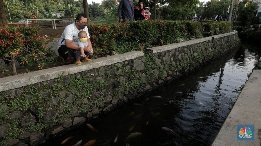 Warga memberi makan ikan hias yang dibudidayakan di sepanjang saluran air di tengah Perumahan Puri Pamulang, Tangerang Selatan, Banten, Selasa (8/9/2020). Saluran air sepanjang 300 meter yang memanfaatkan aliran dari Situ Ciledug itu digunakan warga untuk budidaya ikan hias sekaligus hiburan gratis bagi warga sekitar. Pemanfaatan saluran air menjadi kolam ikan hias berawal saat pembatasan sosial berskala besar diberlakukan pemerintah. Teguh salah satu warga Perumahan Puri mengatakan ide tersebut muncul ketika warga yang jenuh karena tidak bisa ke mana-mana berinisiatif memanfaatkan saluran air menjadi kolam ikan untuk hiburan sekaligus budidaya.