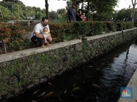 Bukan Lautan & Kolam Susu, Warga Ubah Selokan Jadi Kolam Ikan