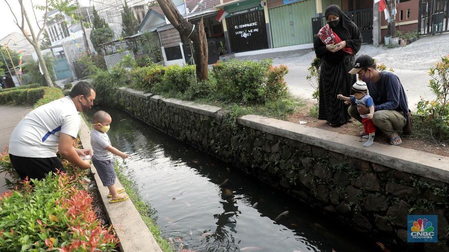 Warga memberi makan ikan hias yang dibudidayakan di sepanjang saluran air di tengah Perumahan Puri Pamulang, Tangerang Selatan, Banten, Selasa (8/9/2020). Saluran air sepanjang 300 meter yang memanfaatkan aliran dari Situ Ciledug itu digunakan warga untuk budidaya ikan hias sekaligus hiburan gratis bagi warga sekitar. Pemanfaatan saluran air menjadi kolam ikan hias berawal saat pembatasan sosial berskala besar diberlakukan pemerintah. Teguh salah satu warga Perumahan Puri mengatakan ide tersebut muncul ketika warga yang jenuh karena tidak bisa ke mana-mana berinisiatif memanfaatkan saluran air menjadi kolam ikan untuk hiburan sekaligus budidaya. 