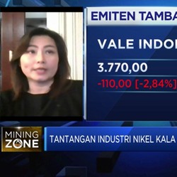 Hingga 2022, Produksi Nikel Akan Surplus 100 Ribu Ton/tahun