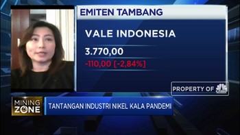 Hingga 2022, Produksi Nikel Akan Surplus 100 Ribu Ton/tahun