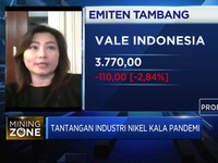 Hingga 2022, Produksi Nikel Akan Surplus 100 Ribu Ton/tahun