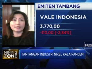 Hingga 2022, Produksi Nikel Akan Surplus 100 Ribu Ton/tahun