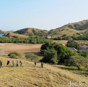 Intip Keindahan Pulau Rinca yang akan Dijadikan Jurassic Park
