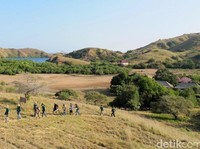 Intip Keindahan Pulau Rinca yang akan Dijadikan Jurassic Park