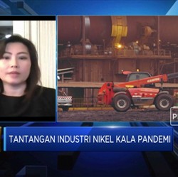 Staf Khusus Luhut Jadi Wakil Presiden Komisaris Vale