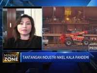 Soal RPP UU Minerba, INCO: Penerapannya Jangan Dipukul Rata