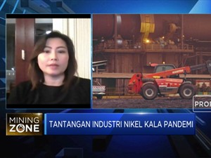 Soal RPP UU Minerba, INCO: Penerapannya Jangan Dipukul Rata