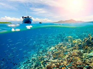 Mengenal Surga Bawah Laut Bunaken, Dulu Dipercaya Dihuni Roh Jahat