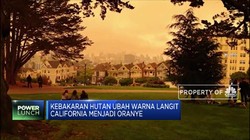 Geger Kebakaran Hutan di California