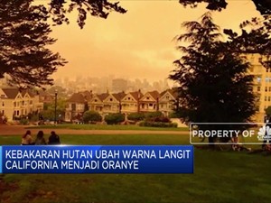 Geger Kebakaran Hutan di California
