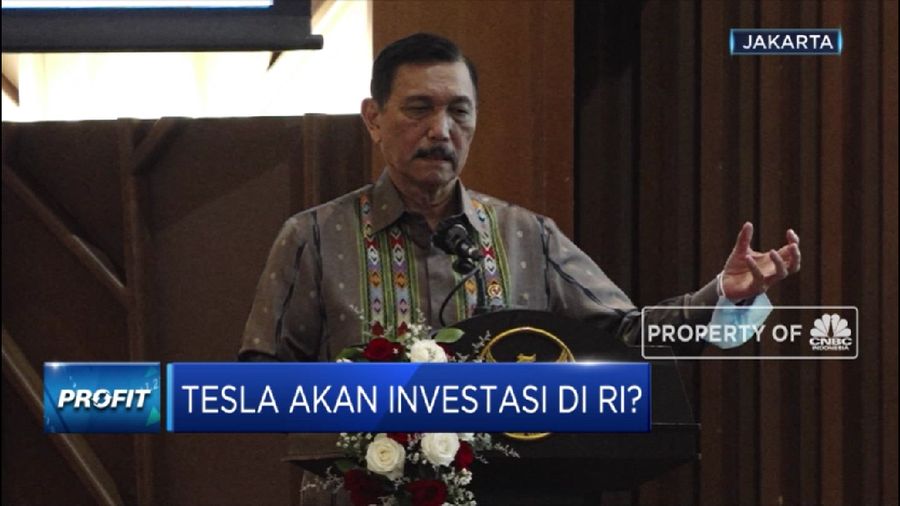 Minat Investasi Baterai Mobil Listrik, Tesla telepon Luhut