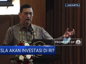 Minat Investasi Baterai Mobil Listrik, Tesla Telepon Luhut