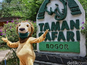 HUT RI ke-79, Taman Safari-Jakarta Aquarium Punya Acara Seru, Intip Yuk!