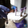 Naik Kapal-Pesawat Perlu Rapid Test atau Swab, Batal Dihapus?