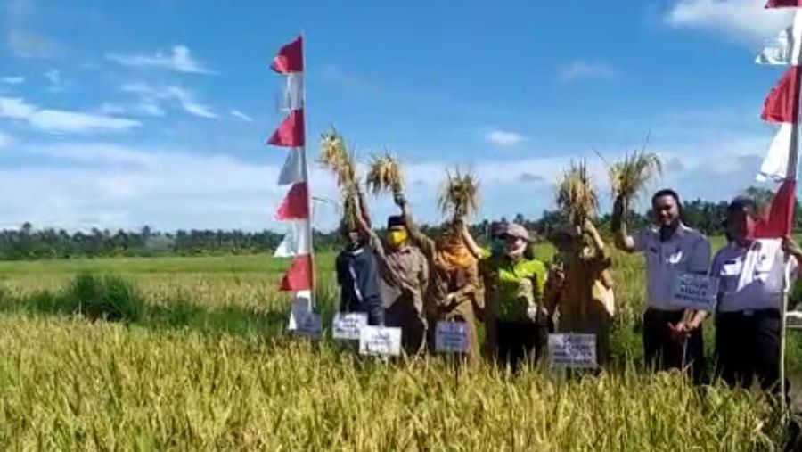 kementan