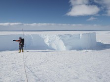 Hii! Bukan Manusia, Ini Penampakan Mahkluk Penghuni Antartika