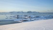 Bukan Orang Barat, Ternyata Ini Suku Pertama Penemu Antartika