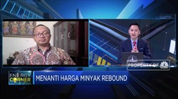 Ekonom: Akhir 2020,Harga Minyak Masih di Kisaran USD 40/Barel