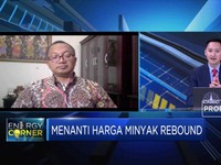 Ekonom: Akhir 2020,Harga Minyak Masih di Kisaran USD 40/Barel