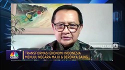 Ekonom: RI Alami Siklus Pertumbuhan Ekonomi Tak Stabil