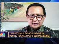 Ekonom: RI Alami Siklus Pertumbuhan Ekonomi Tak Stabil